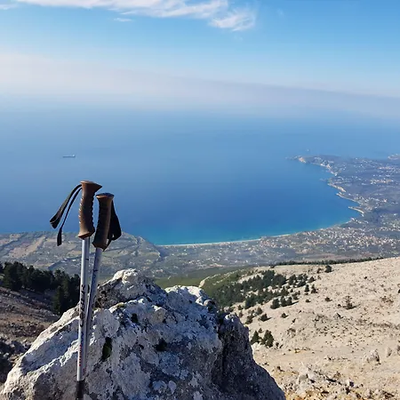 Koxyli & Apartamento