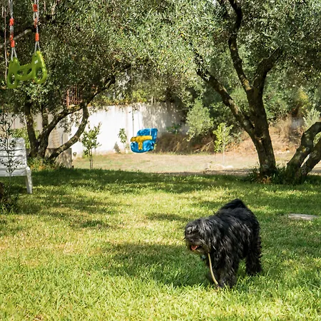 Apartamento Koxyli & *