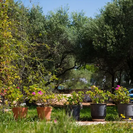 Apartamento Koxyli &