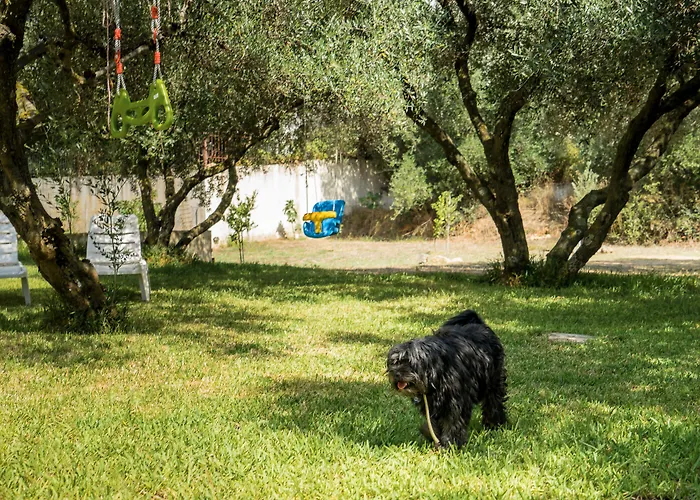 Apartment Koxyli & *